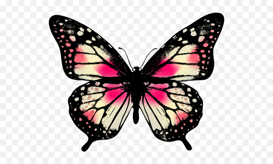 Stained Glass Butterfly Png U0026 Free Stained Glass Butterfly - Butterfly Realistic Clipart Emoji,Pink Butterfly Emoji