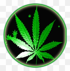 Weed Rasta Smoke Wallpapers Emoji,Weed Strain Emojis