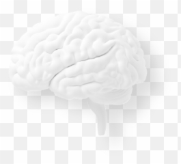 Performance Mindset - Vision Pursue Emoji,Emotions Watching Sports
