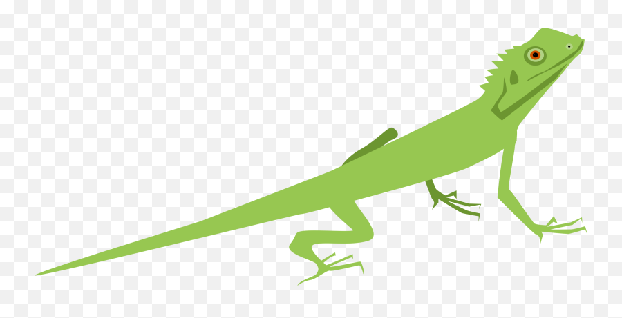 Lizard Common Iguanas Gecko Chameleons Reptile - Clipart Lizard Clipart Emoji,Chameleon Emoji