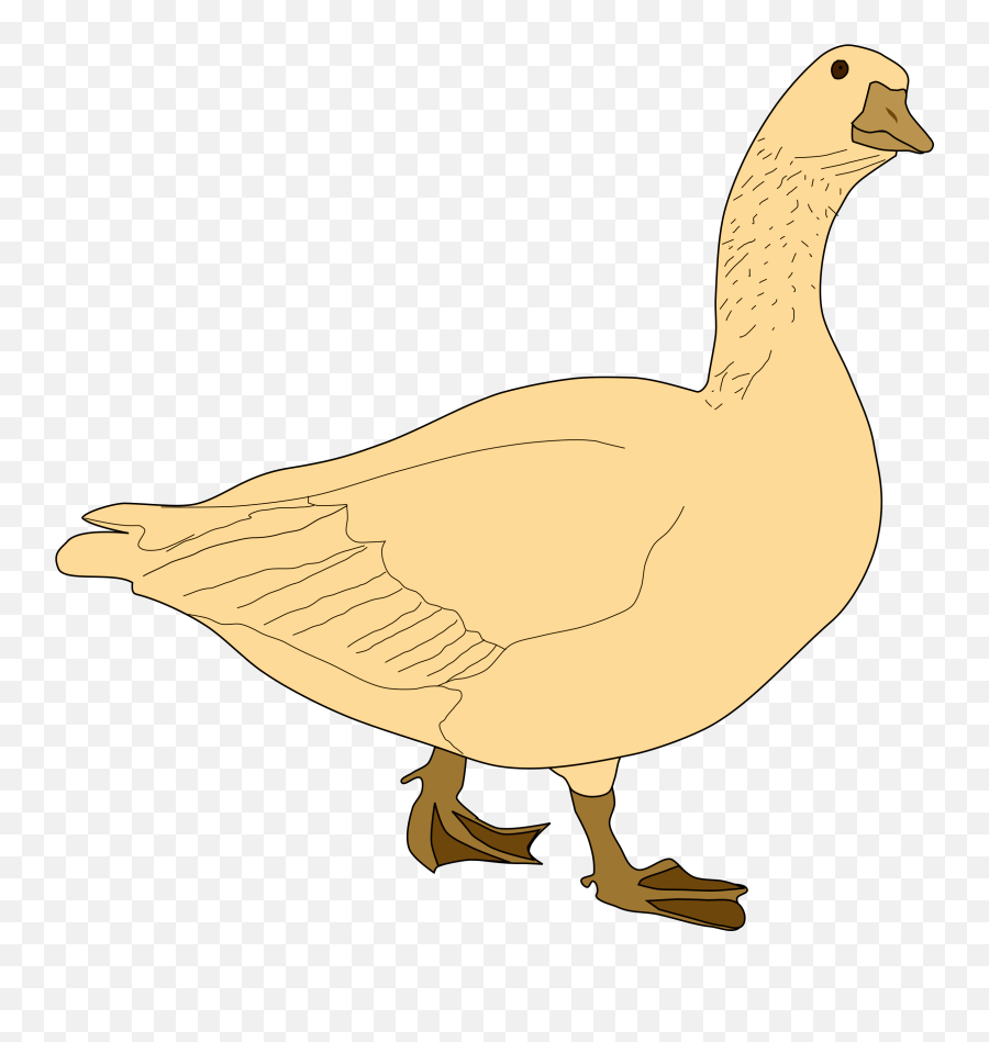 Golden Goose Vector Clipart - Golden Goose Cartoon Png Emoji,Goose Emoticon