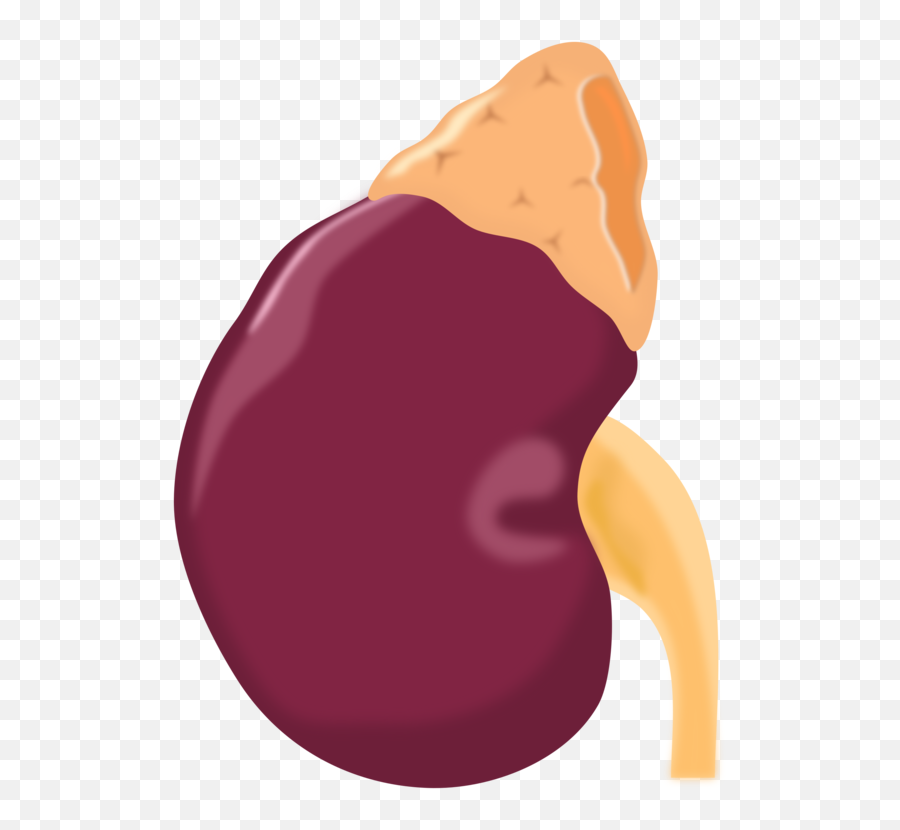 Adrenal Gland Tumor Symptoms Back Pain - Adrenal Gland Clipart Emoji,Emoji With Back Pain