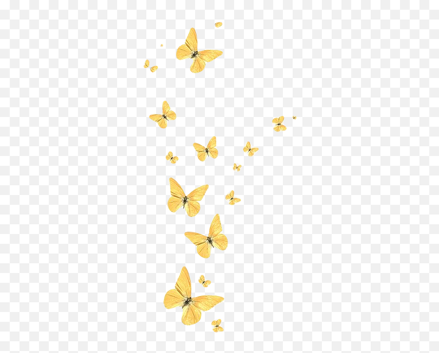 About - Butterfly Iphone Wallpaper Yellow Emoji,Alpha Phi Emojis