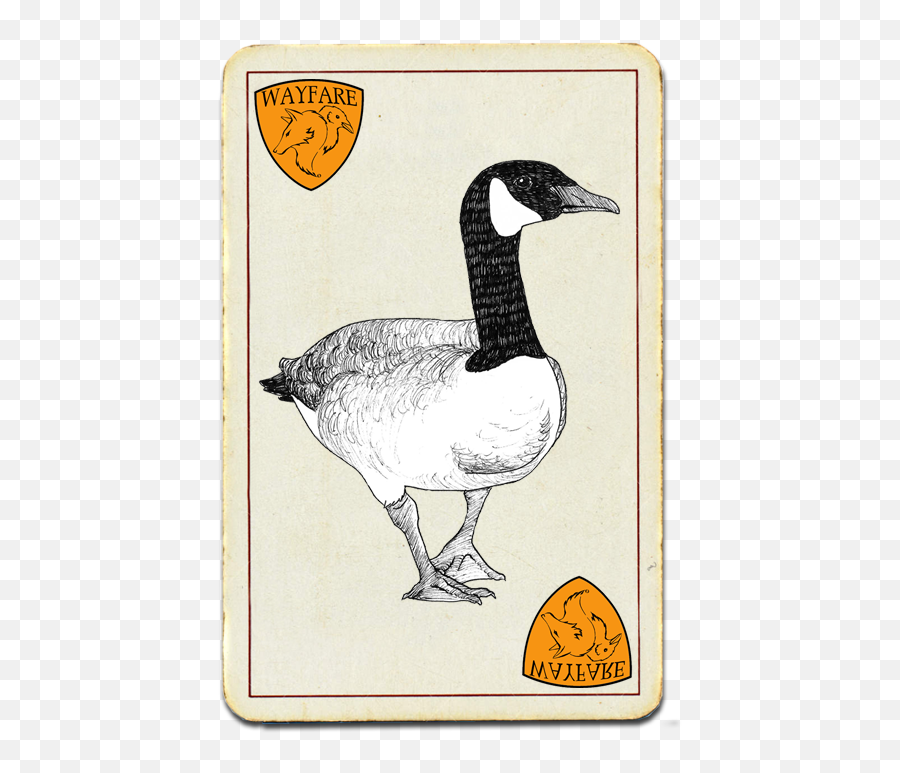 Wayfare Pest Solutionscanada Goose - Wayfare Pest Solutions Duck Emoji,Canadian Goose Emoticon