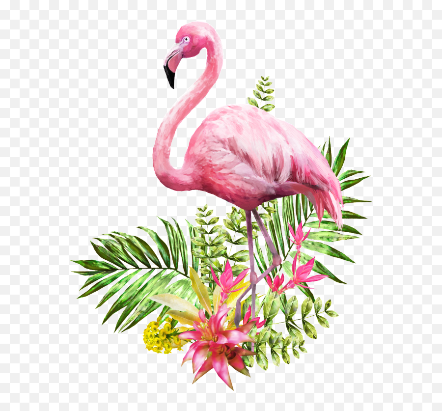 Flamingo Transparent Vector - Transparent Background Emoji,Flamin Emoji