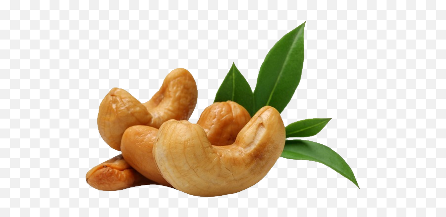 Cashew Nut Png Resolution556x358 Transparent Png Image Emoji,Nut Emojis