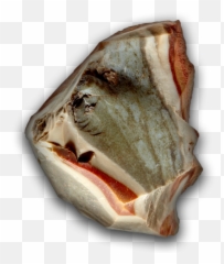 Stones Crystals Riley Rage Rageonthetrack Emoji,What Does Cut Eggplant Emojis
