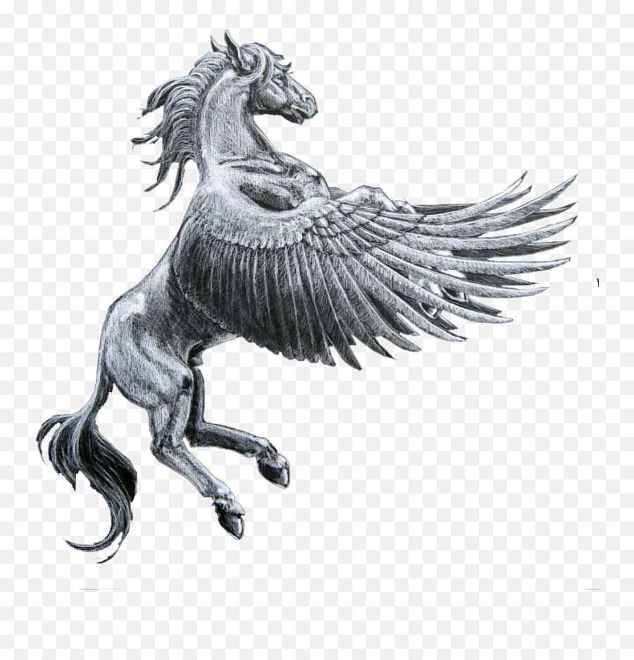 H1080882480 Pegasus - Pegasus Horse Full Size Png Emoji,Powerpoint Emojis Horse