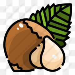 Hazelnut - Nuts Seeds Icon Emoji,Hazelnut Emoji