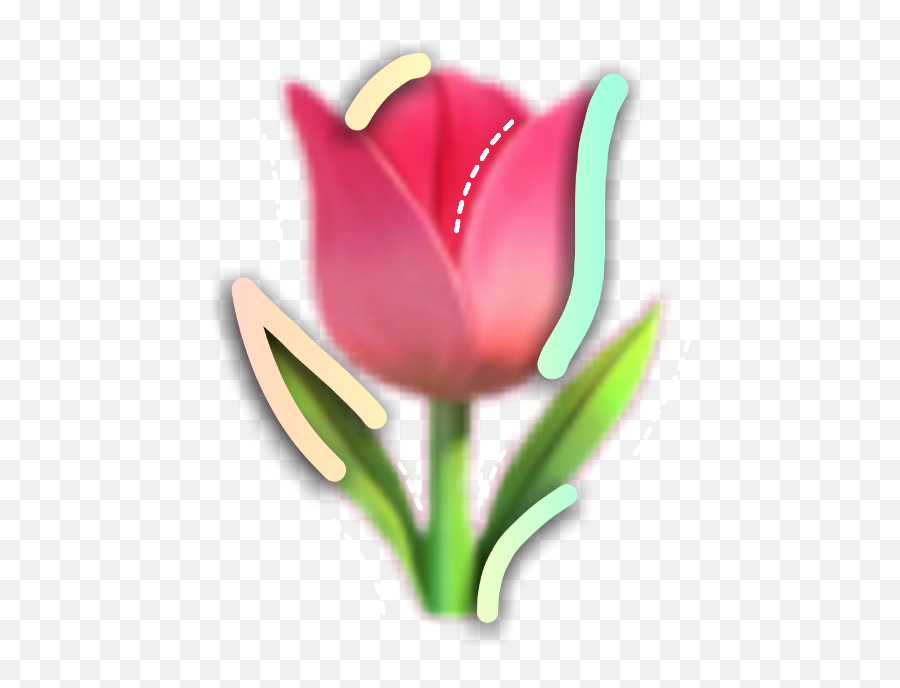 Png Cute Soft Rose Iphone Sticker - Floral Emoji,Rose Emoji Iphone