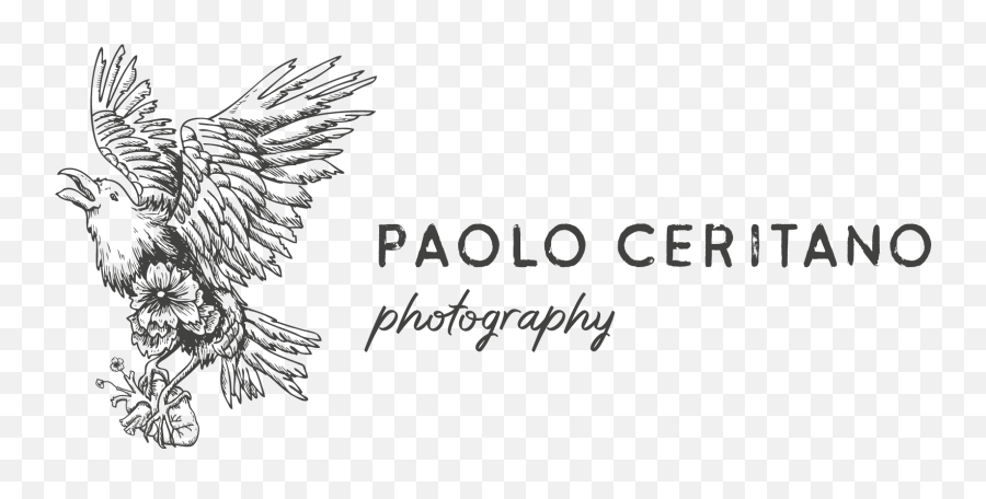 Paolo Ceritano Italian Wedding Photographer - Home Language Emoji,Emotion Wedding