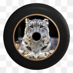 Jl Hole Animal Tire Covers U2013 Page 3 U2013 Tirecoverpro - Fondos De Pantalla De Leopardo Blanco Emoji,Blue Eyed Emoji