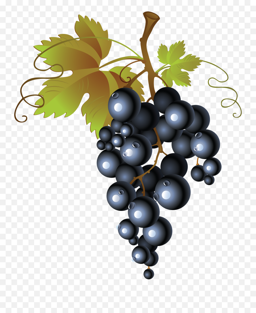 Grape Png Image Free Picture Download - Grapes Png Free Emoji,Grape Emoji Png