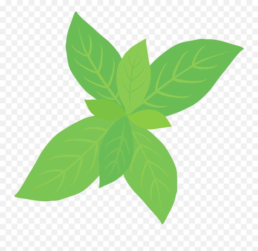Peppermint Herb Clipart Free Download Transparent Png - Herb Clipart Emoji,Mint Emoji