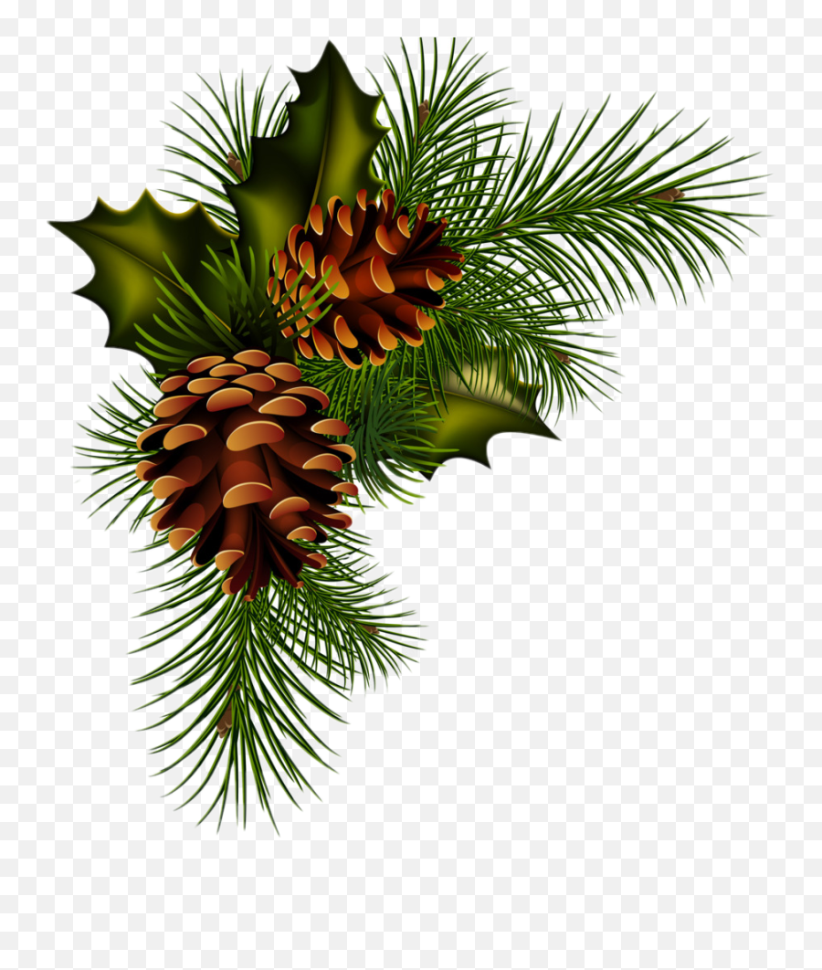 The Most Edited - Pine Christmas Png Emoji,Pine Cone Emoji