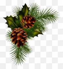 The Most Edited - Pine Christmas Png Emoji,Pine Cone Emoji