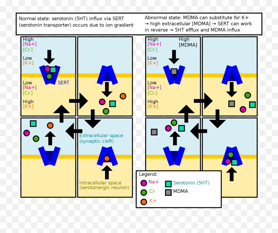 Mdma - The Reader Wiki Reader View Of Wikipedia Mdma Receptor Emoji,2b Emotions Are Prohibited