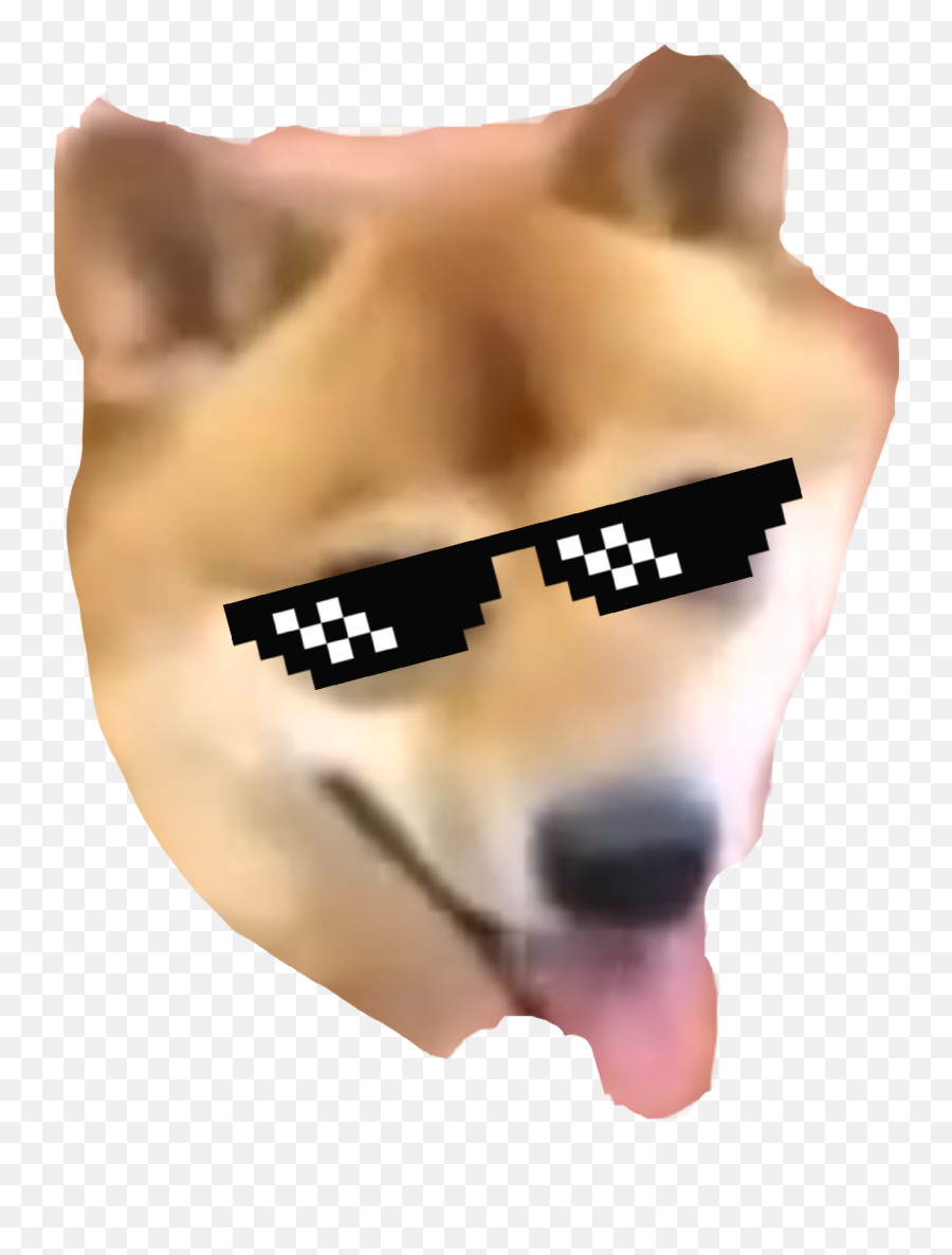 Doggo Shibe Shibenation Sticker By Karun Painter - Avatar Emoji,Shibe Emoji