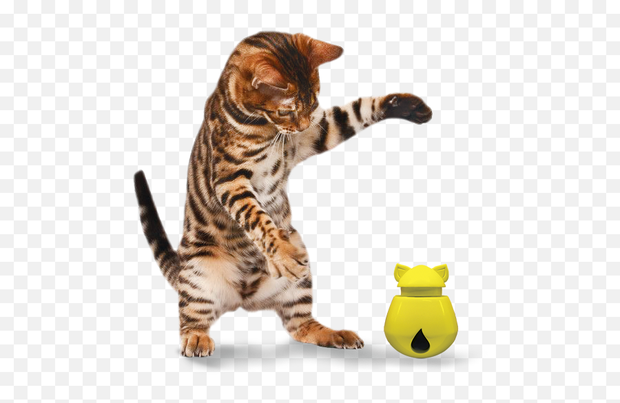 Grab These Unique Finds U2013 Shopmeoowcom - Imgur Gif Upvote Cat Emoji,Emoji Cat Woma Bed