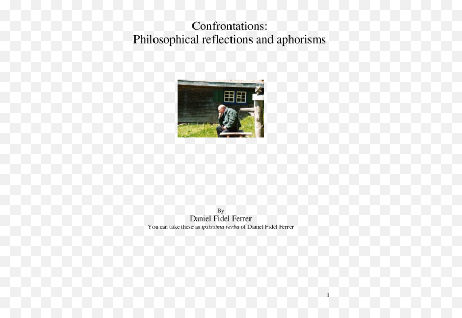 Pdf Confrontations Philosophical Reflections And Aphorisms - Language Emoji,Emotion Comet 110 Kayak Cover