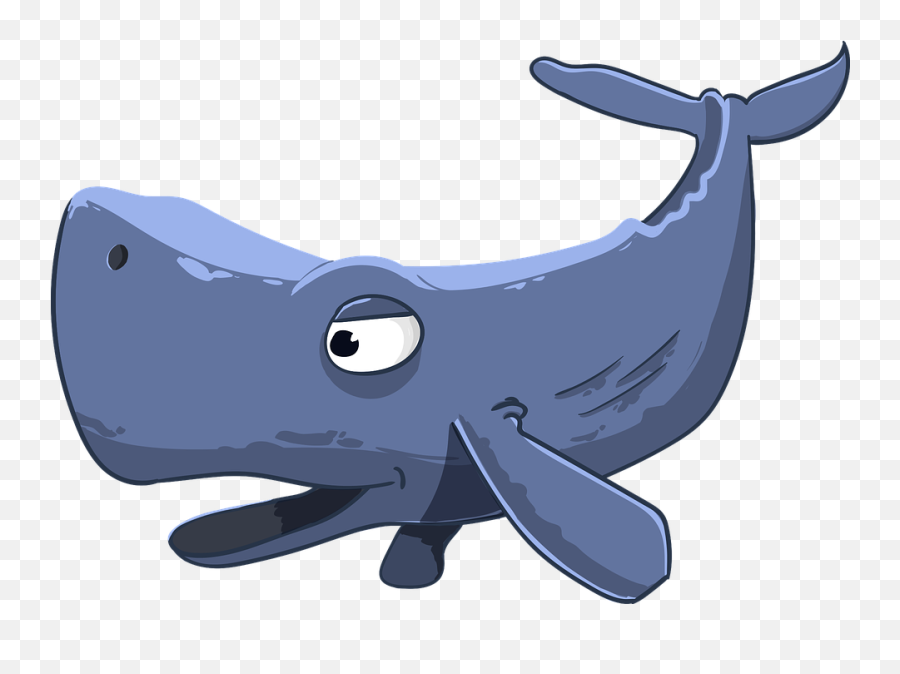 Free Photo Mammal Giant Cartoon - Sperm Whale Cartoon Png Emoji,Raindrop Sperm Emoji