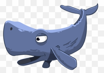Free Photo Mammal Giant Cartoon - Sperm Whale Cartoon Png Emoji,Raindrop Sperm Emoji