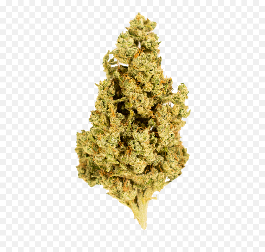 Weed And Music - Capital Og Strain Bud Emoji,Weed Emoticon Reggae Transparent