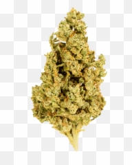Weed And Music - Capital Og Strain Bud Emoji,Weed Emoticon Reggae Transparent