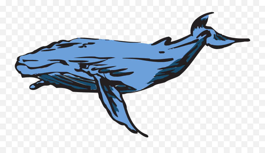 Whale Blue Mammal Drawing Free Image - Blåhval Png Emoji,Ocean Animal Emotions