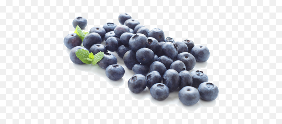 Blueberry Png Clipart Png Mart Emoji,Blue Berry Emoji