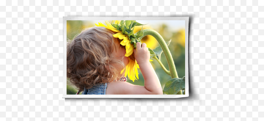 Hijacking Joy - People Smelling Plants Emoji,Ellen Degeneres Sat 1 Emotions