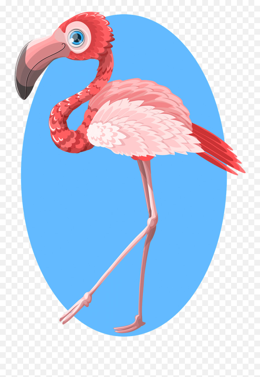 Preschool Zoo This - Clip Art Emoji,Flamingo Emoji