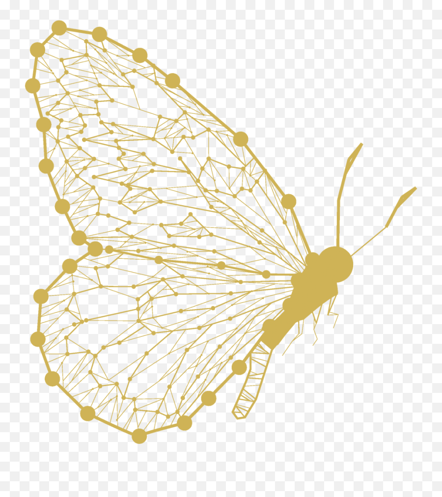 Papillon Coaching 12 - Week Programme Claire Boscqscott Parasitism Emoji,Human Emotion Throughout Metamorphosis