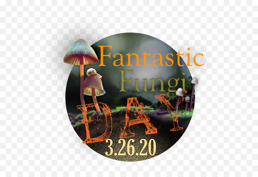 3 - Fantastic Fungi Day Emoji,Tucson Harkins Emojis