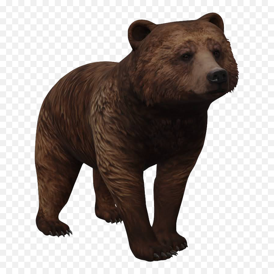 Here Are All Of The Google Ar Animals You Can See In 3d - Brown Bear 3d Google Emoji,Grizzly Bear Emoji Android