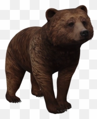 Here Are All Of The Google Ar Animals You Can See In 3d - Brown Bear 3d Google Emoji,Grizzly Bear Emoji Android