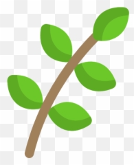 Cahill Seeds - Génesis 2 22 Emoji,Hurricane Emojis For Facebook