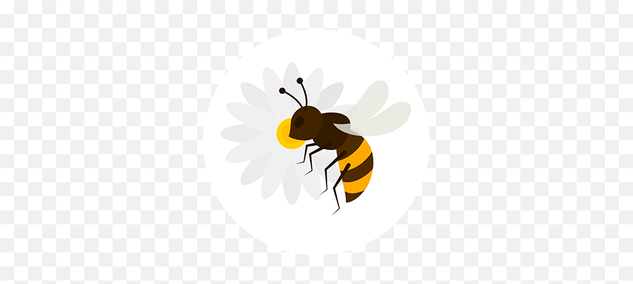 Sirhowy Valley Hedgerow Honey - Parasitism Emoji,Bee Swarm Bee Emojis