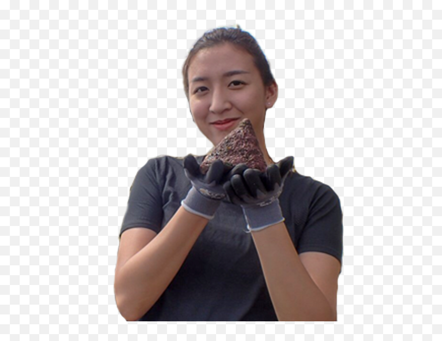 Why I Choose Marine Biology At University Of Plymouth Top - Safety Glove Emoji,Roscoff Emotion