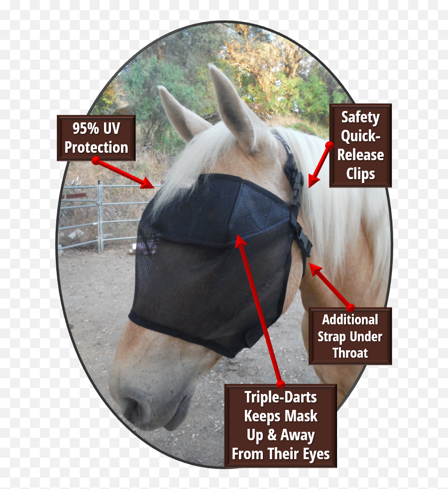 Protective Pet Solutions - Halter Emoji,Horse Nose Emotion