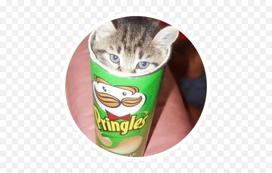 Letu0027s Play - Fun Things To Do With A Pringles Can Emoji,:waf: Cat Emoji