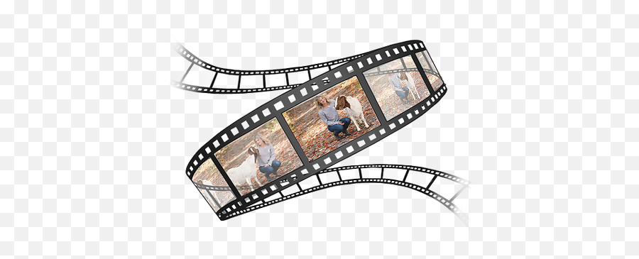 Sea Glass Films U0026 Photography Cinematic Videography Ottawa - Movie Roll Logo Emoji,Sweet Emotion Films