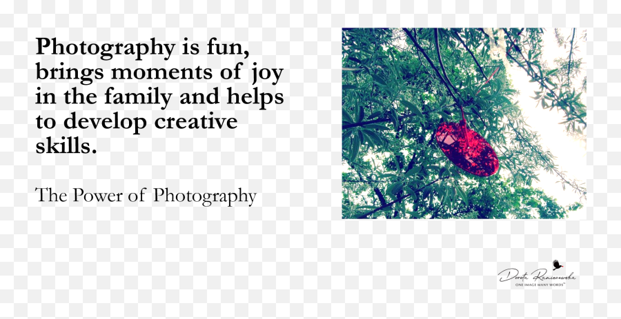 Develop Creative Skills - Language Emoji,Photography Ideas For Happy Emotions