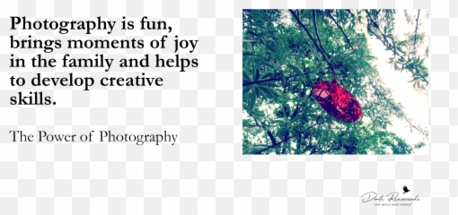 Develop Creative Skills - Language Emoji,Photography Ideas For Happy Emotions