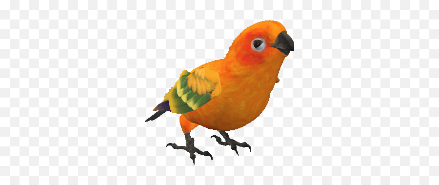 Pin Em Emoji - Transparent Parrot Animated Gif,Parrot Emoji