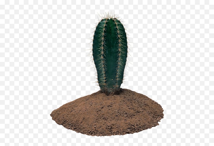 Most Viewed - Free Png Images Starpng Emoji,What Is Saguaro Cactus Emoji