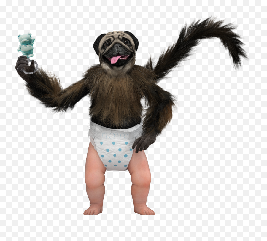 Blog U2014 Joester Loria Group - Puppy Monkey Baby Png Emoji,Corona Beer Emoji