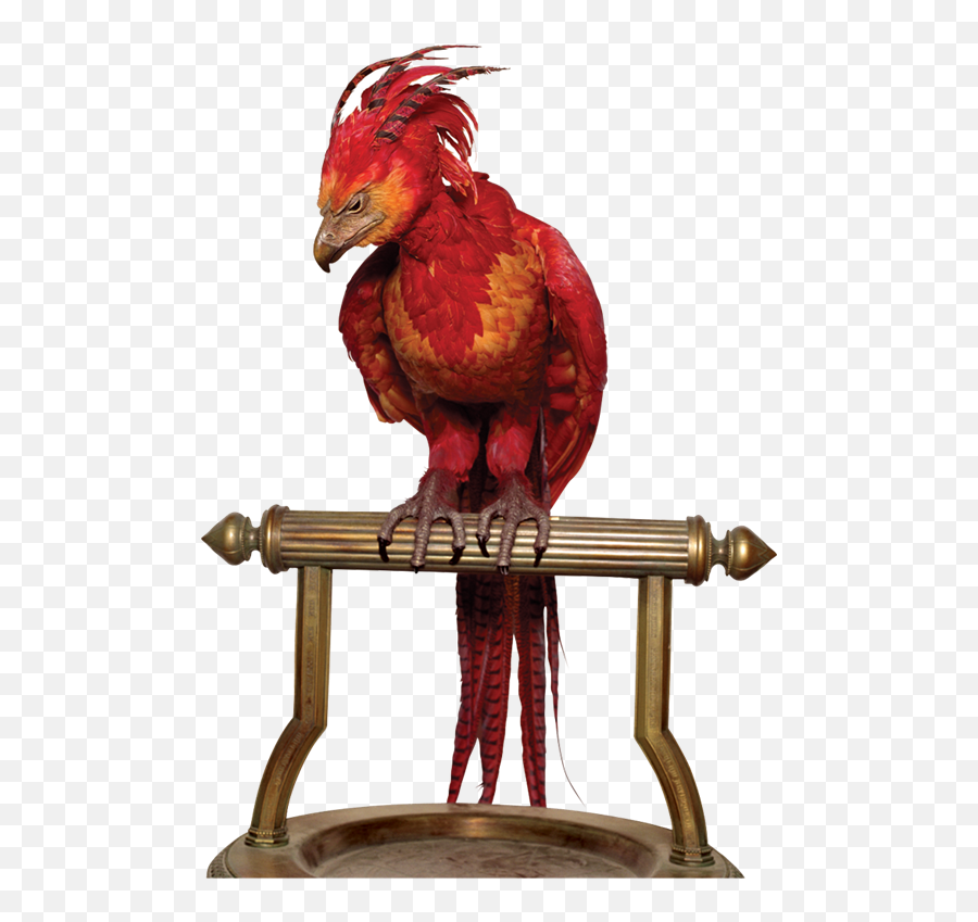 Mq Red Bird Birds Animal Sticker By Marras - Tatuaje De Ave Fenix Harry Potter Emoji,Red Bird Emoji