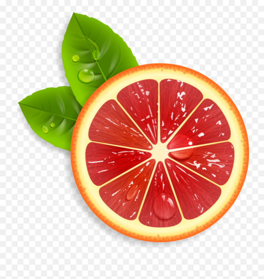 Mq Grapefruit Red Sliced Fruit Sticker - Red Lemon Png Emoji,Grapefruit Emoji