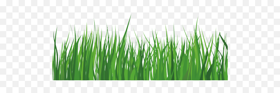 Home - Grass Emoji,Home With Grass Emoji